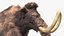 Mammoth Adult with Skeleton Collection 3D