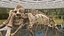 Mammoth Adult with Skeleton Collection 3D