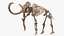 Mammoth Adult with Skeleton Collection 3D