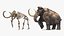 Mammoth Adult with Skeleton Collection 3D