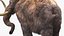 Mammoth Adult with Skeleton Collection 3D