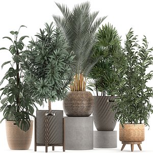 3D decorative plants interior baskets