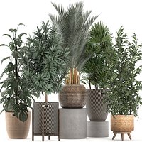 Plants in baskets for the interior 632