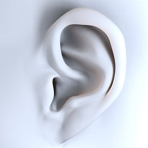 ears character human 3d model