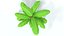 3D model Low Poly Cartoon Banana Tree