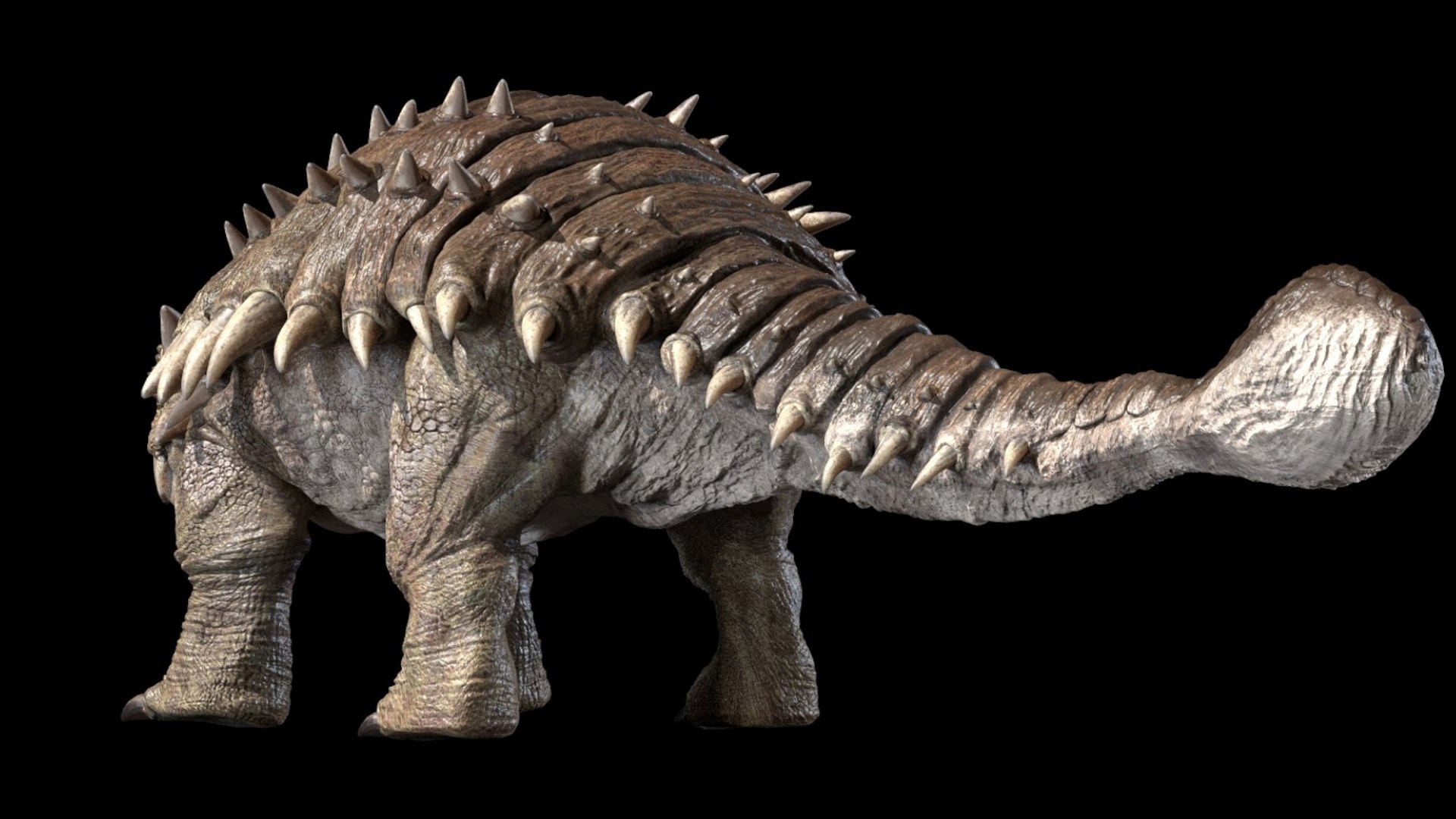 Ankylosaurus  Rigged 3D 3D model https://p.turbosquid.com/ts-thumb/uP/D1vpUt/3V/11/jpg/1759392615/1920x1080/fit_q87/dd62e530f88d098a92c371a09bc66d35a3f9397b/11.jpg