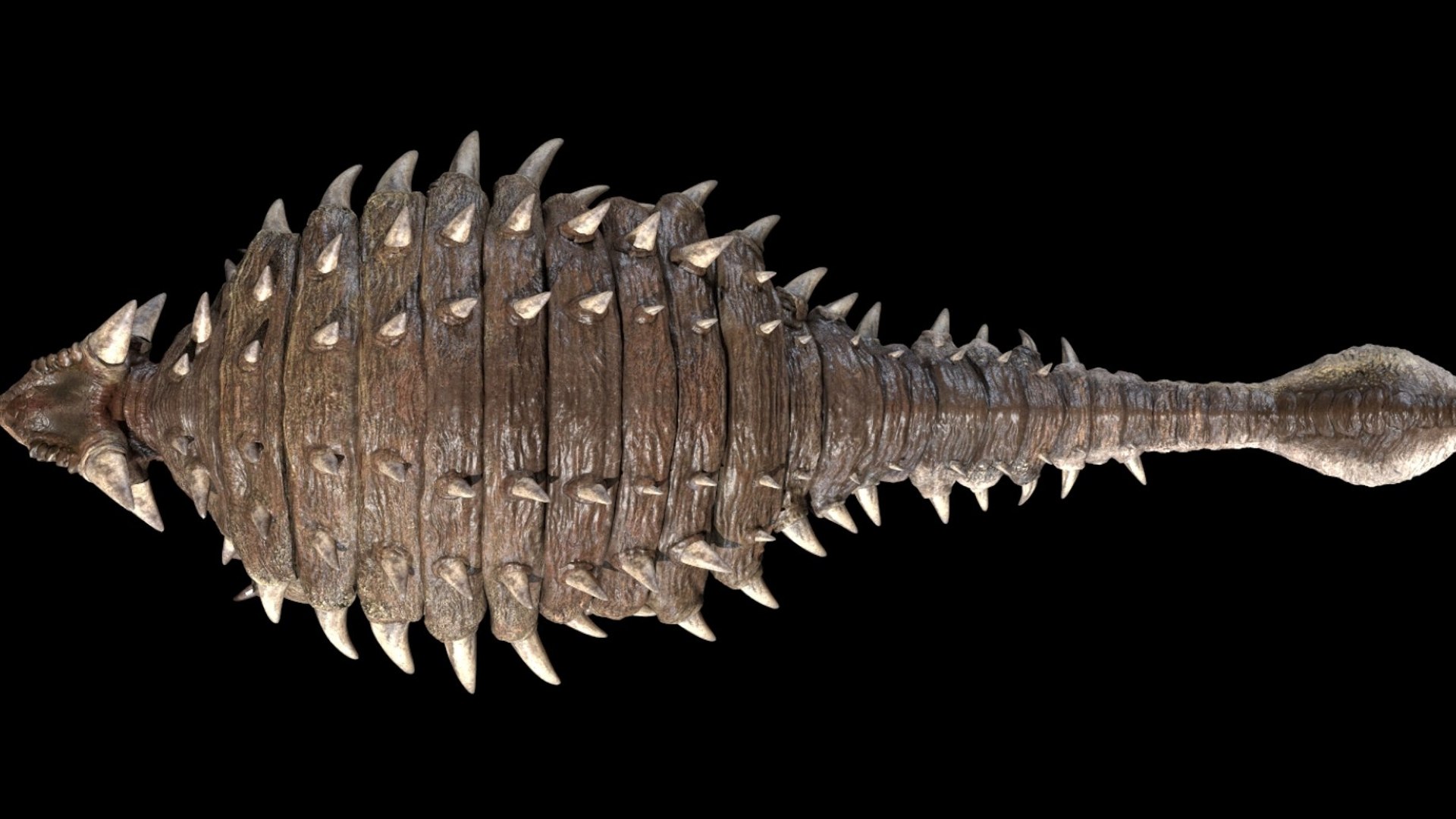 Ankylosaurus  Rigged 3D 3D model https://p.turbosquid.com/ts-thumb/uP/D1vpUt/9a/07/jpg/1759392611/1920x1080/fit_q87/8a420ef01befd9e248cd5cdcc740578a1ac76c30/07.jpg