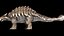 Ankylosaurus  Rigged 3D 3D model