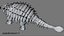 Ankylosaurus  Rigged 3D 3D model