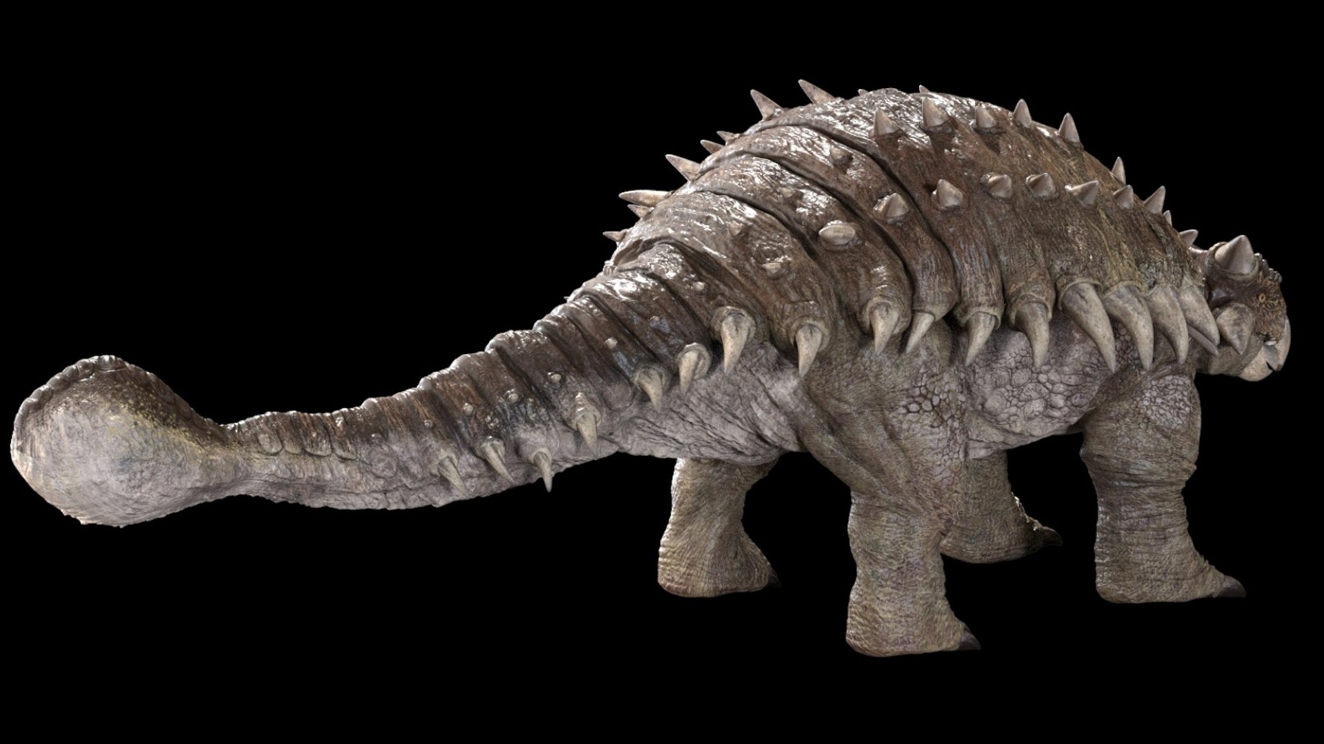Ankylosaurus  Rigged 3D 3D model https://p.turbosquid.com/ts-thumb/uP/D1vpUt/p2/06/jpg/1759392609/1920x1080/fit_q87/0d3291e776dbe313e7cdf35cae350d873d6beb68/06.jpg