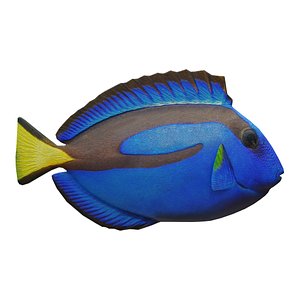 3D model blue tang