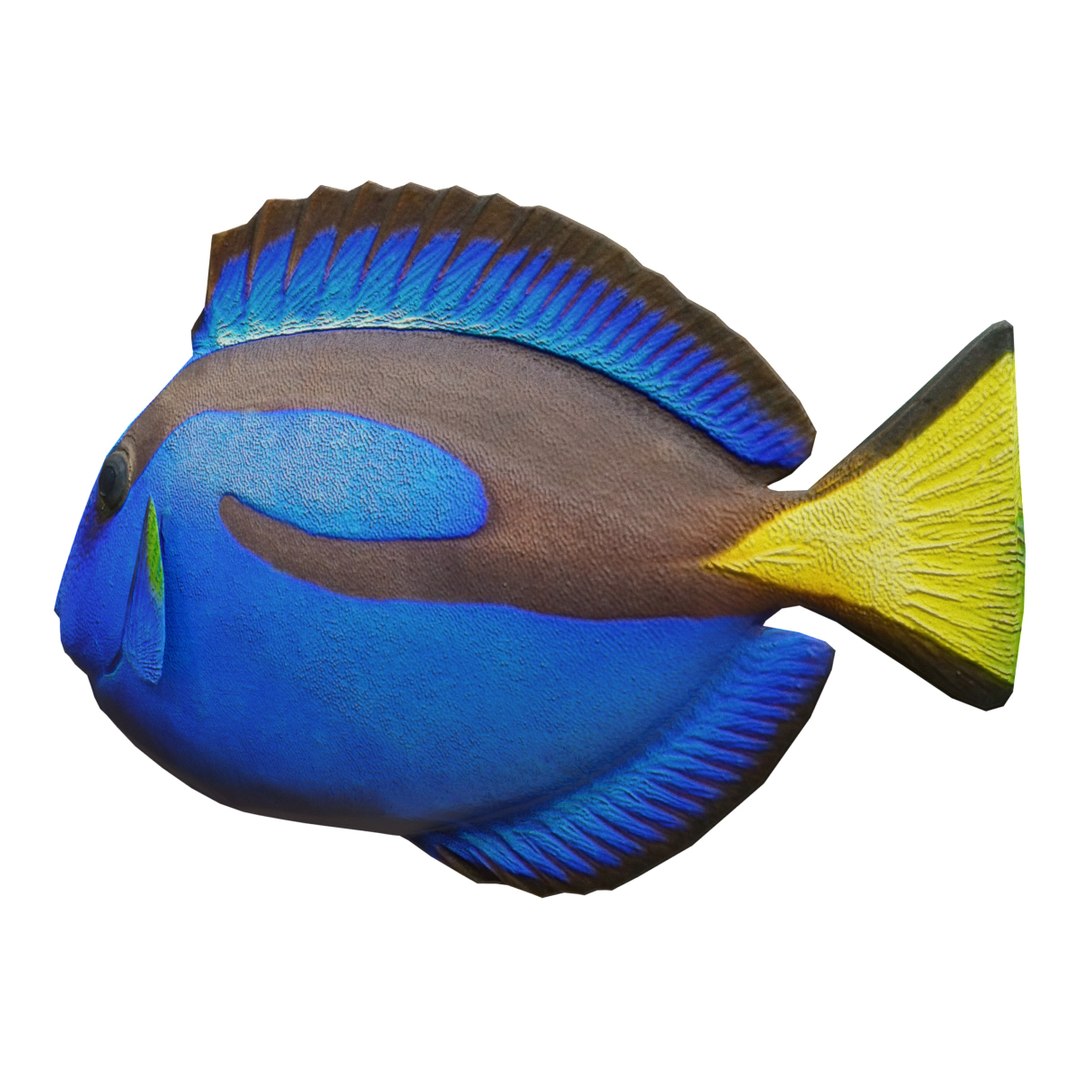 3D model blue tang - TurboSquid 1432488