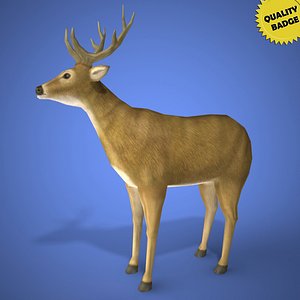 Real Time Deer 3d Model
