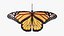 Mariposa Low-Poly aparejada
