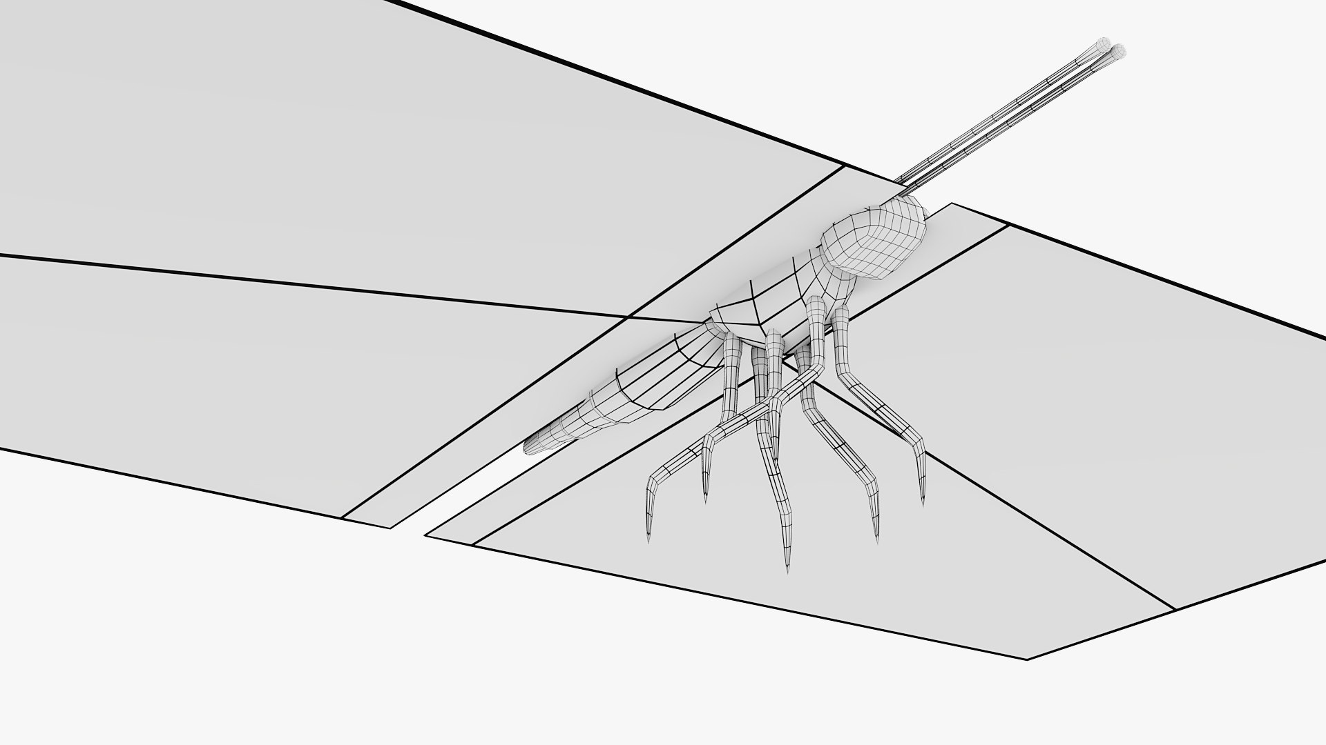 butterfly rigged animate 3D https://p.turbosquid.com/ts-thumb/uP/SSrkmc/TiJFTAzy/wireframe004/jpg/1601685978/1920x1080/fit_q87/90b852197ada37364224532f26b157e06dfb76b0/wireframe004.jpg