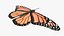 Mariposa Low-Poly aparejada