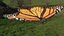 Mariposa Low-Poly aparejada