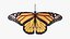 Mariposa Low-Poly aparejada