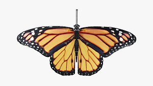 Low-Poly Butterfly Rigged