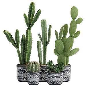 plant in pots  set 04 3D model