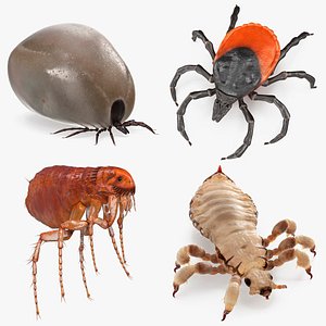 Parasites Rigged Collection for Cinema 4D
