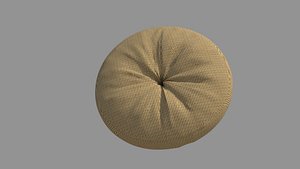 Round Pillow