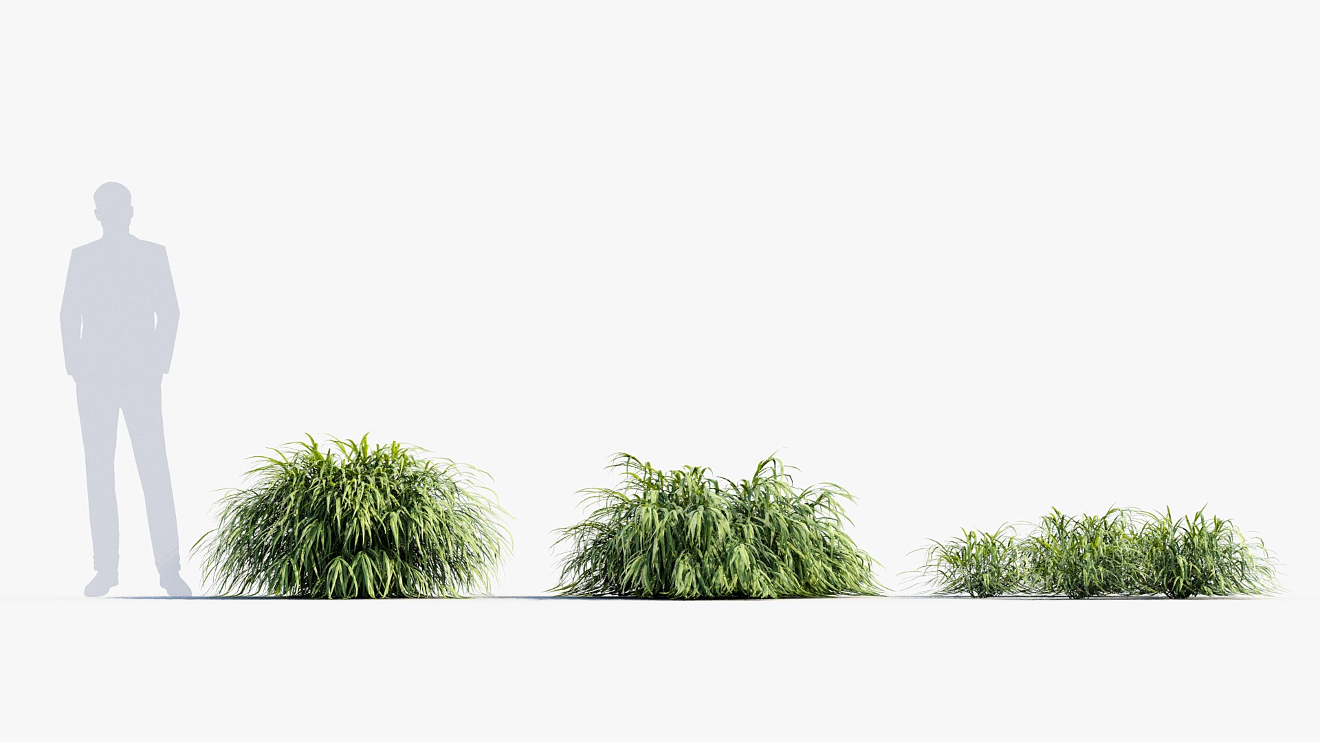 3D Hakonechloa macra Japanese forest grass 3D Model https://p.turbosquid.com/ts-thumb/uP/rfiNdK/5q/bc_pm_p04_hakonechloa_macra_03/jpg/1679386621/1920x1080/fit_q87/1fd353f73a85c24520293bbeb64790e1dd9e5842/bc_pm_p04_hakonechloa_macra_03.jpg