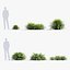 Hakonechloa macra Herbe de la forêt japonaise modèle 3D