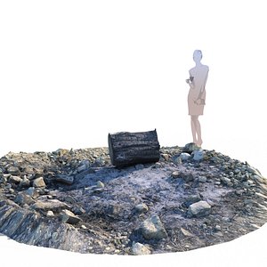 fire pit with a burned stump A 3D model