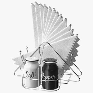 Salt Pepper Shakers with Napkin