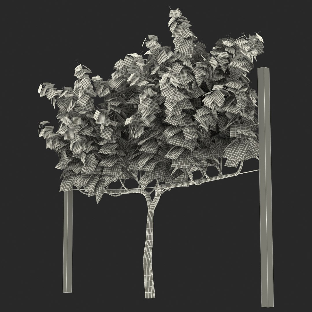 vineyard field fbx https://p.turbosquid.com/ts-thumb/uQ/U7oEqX/2oocVrc3/vineyard3dmodel30/jpg/1458810382/1920x1080/fit_q87/1b30e0b93bf3dcf83709fdf95ca2b458cb4306ab/vineyard3dmodel30.jpg