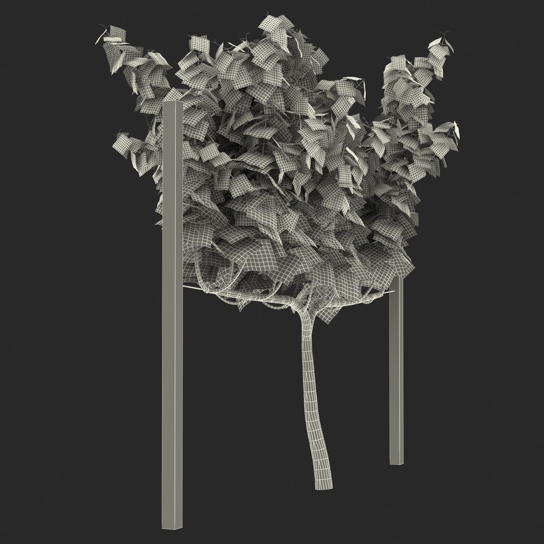 vineyard field fbx https://p.turbosquid.com/ts-thumb/uQ/U7oEqX/6KmwToO9/vineyard3dmodel26/jpg/1458810382/1920x1080/fit_q87/9221655aaa9f16b131795ad783de249a2e8705ba/vineyard3dmodel26.jpg