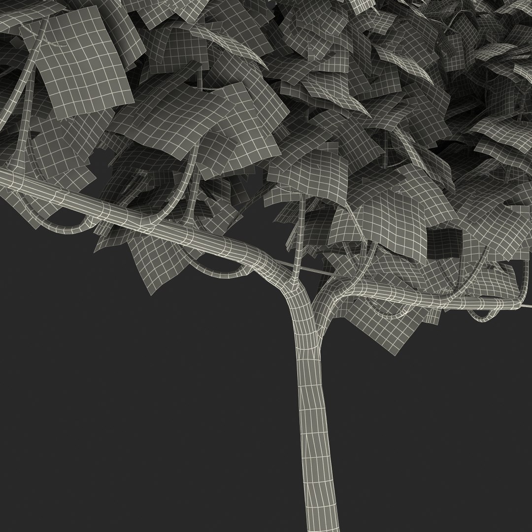 vineyard field fbx https://p.turbosquid.com/ts-thumb/uQ/U7oEqX/H1R63BLz/vineyard3dmodel34/jpg/1458810383/1920x1080/fit_q87/c9004886edf3faf9794a57613848b2c00ee1dadd/vineyard3dmodel34.jpg