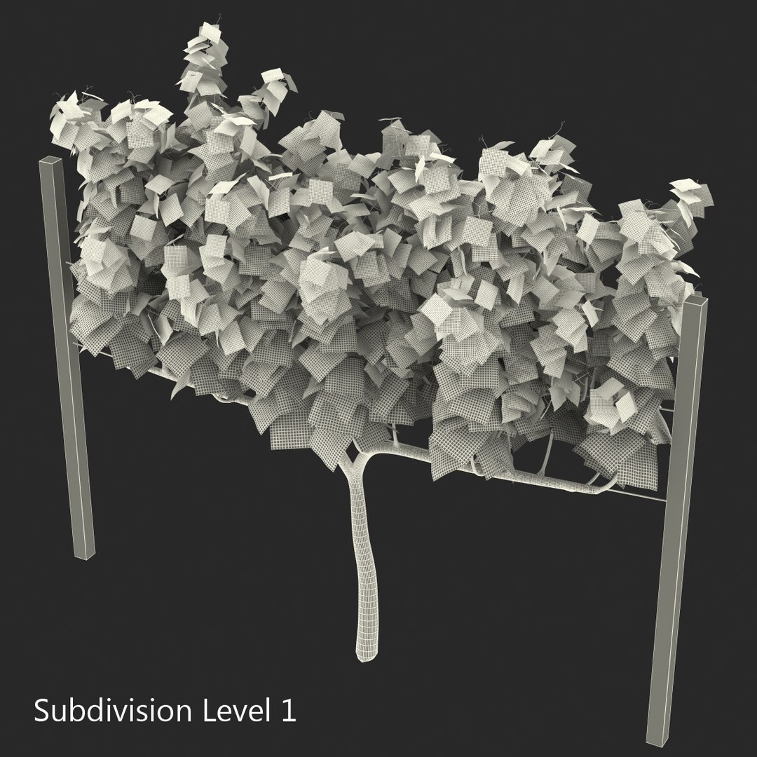 vineyard field fbx https://p.turbosquid.com/ts-thumb/uQ/U7oEqX/IWwF1yir/vineyard3dmodel19/jpg/1458810381/1920x1080/fit_q87/aaee1641f992ee5c242b3fe9133169c860291617/vineyard3dmodel19.jpg