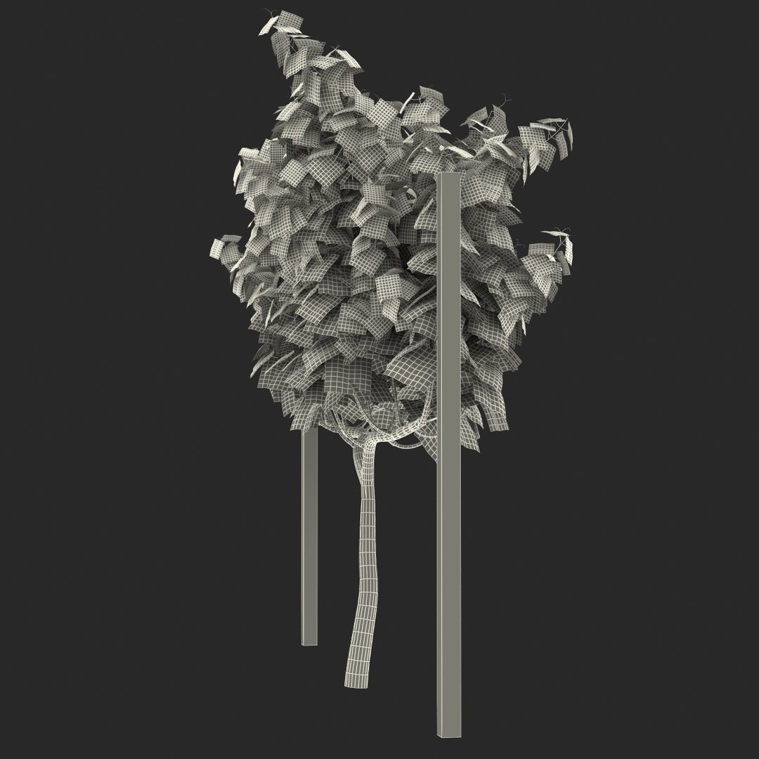 vineyard field fbx https://p.turbosquid.com/ts-thumb/uQ/U7oEqX/JMR098G1/vineyard3dmodel25/jpg/1458810382/1920x1080/fit_q87/00259211cc8b9dfcb8305f9f3101a1134f1b0f3f/vineyard3dmodel25.jpg
