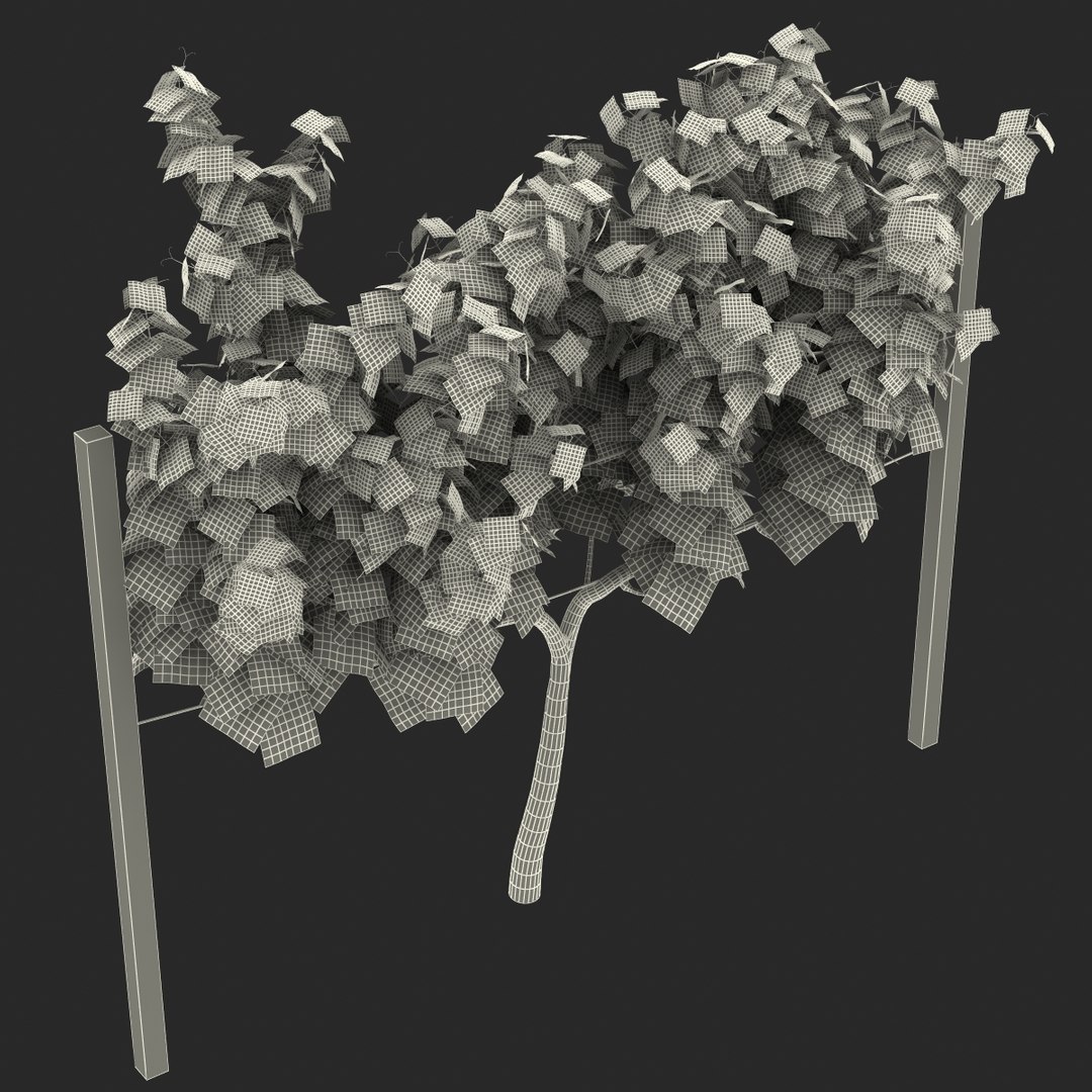 vineyard field fbx https://p.turbosquid.com/ts-thumb/uQ/U7oEqX/Ni3IKqlI/vineyard3dmodel29/jpg/1458810382/1920x1080/fit_q87/e8794982ec1830891d4ee3c7e598f2b13ac1dc70/vineyard3dmodel29.jpg