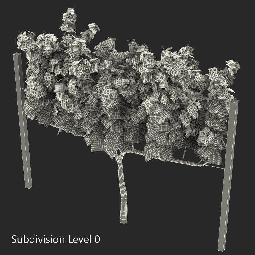 vineyard field fbx https://p.turbosquid.com/ts-thumb/uQ/U7oEqX/bPqBbOl5/vineyard3dmodel18/jpg/1458810381/1920x1080/fit_q87/8cca87719c70a8cfa5e295aac717fa8628ae112a/vineyard3dmodel18.jpg