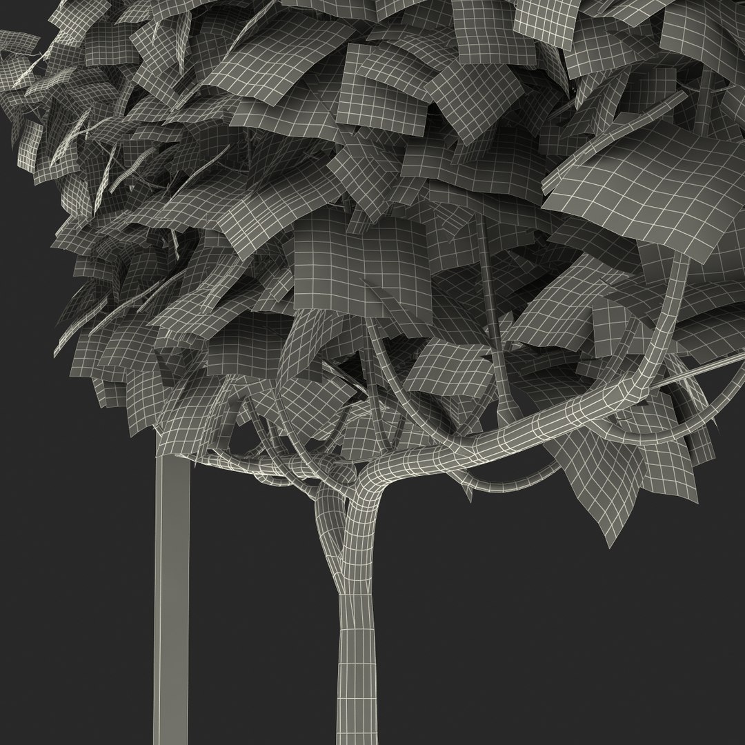 vineyard field fbx https://p.turbosquid.com/ts-thumb/uQ/U7oEqX/cVMuS7qF/vineyard3dmodel33/jpg/1458810383/1920x1080/fit_q87/4c9aad53e90b035b6c961ea8ed251a3386117830/vineyard3dmodel33.jpg