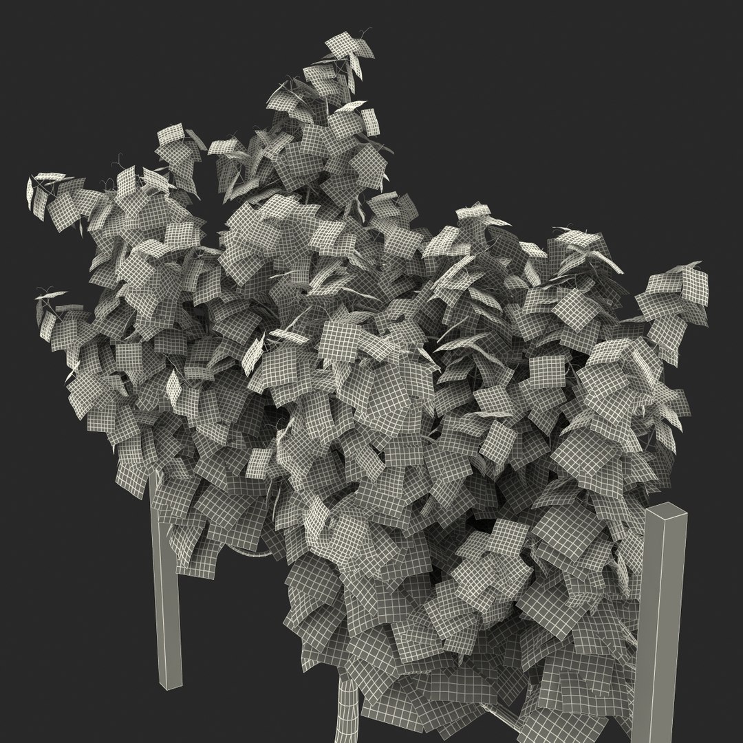 vineyard field fbx https://p.turbosquid.com/ts-thumb/uQ/U7oEqX/jNohNI89/vineyard3dmodel32/jpg/1458810383/1920x1080/fit_q87/4f2db27fb762eb0269c67ace866fc31b4c7cadfa/vineyard3dmodel32.jpg