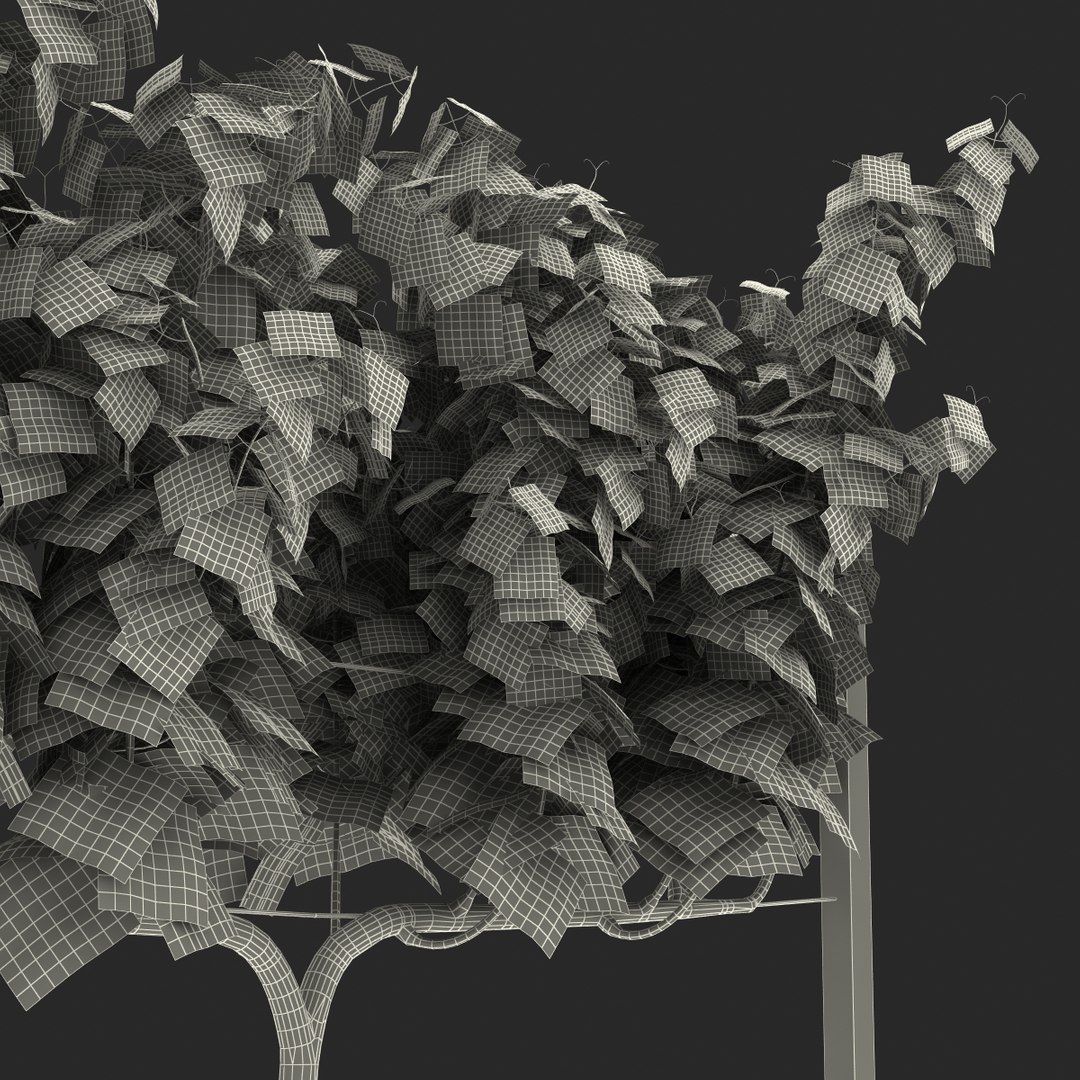 vineyard field fbx https://p.turbosquid.com/ts-thumb/uQ/U7oEqX/lP9TN51Q/vineyard3dmodel35/jpg/1458810383/1920x1080/fit_q87/1cf985a607994d4e2ec6e1d33be69d9a2878e77c/vineyard3dmodel35.jpg