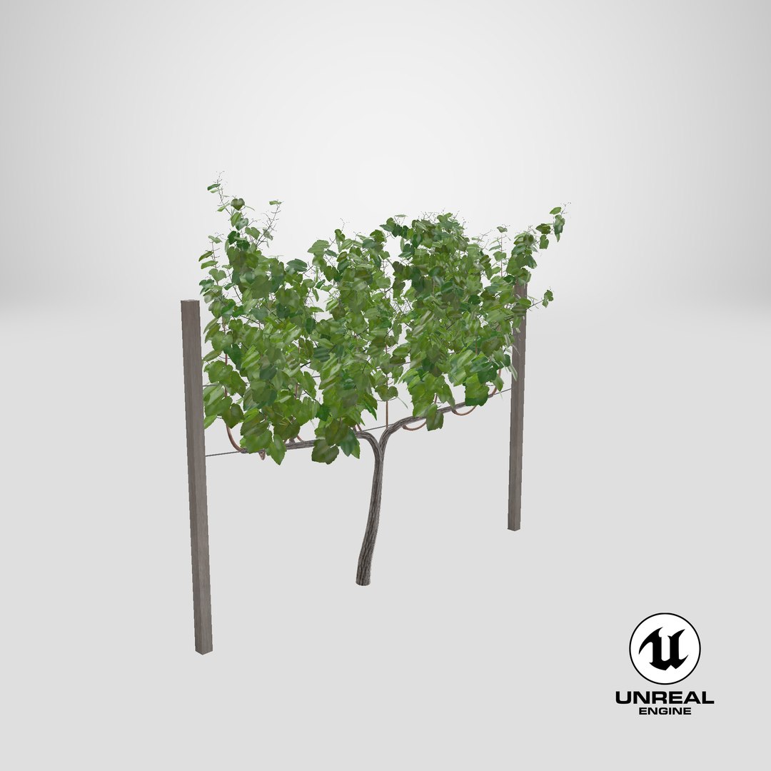 vineyard field fbx https://p.turbosquid.com/ts-thumb/uQ/U7oEqX/tf/stemcell_unreal_render/png/1661759366/1920x1080/fit_q87/0425e746e9a2e0a553267f912bb816cb8490a4b4/stemcell_unreal_render.jpg