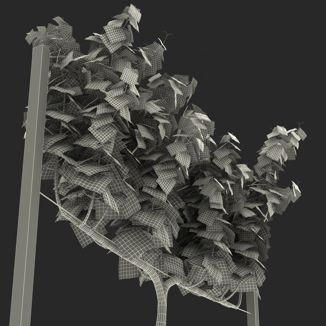 vineyard field fbx https://p.turbosquid.com/ts-thumb/uQ/U7oEqX/ubPUyLO6/vineyard3dmodel31/jpg/1458810383/1920x1080/fit_q87/3f79de171a7861305c0dadaded9a16d726b91792/vineyard3dmodel31.jpg