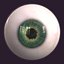 Eyes 3d Model