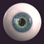 Eyes 3d Model