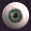 Eyes 3d Model