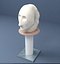Bust