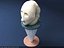 Bust