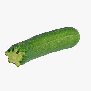 3D Courgette Remastered