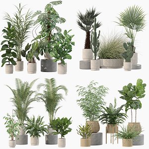 3D 20 Photorealistic Flowers for Interiors - set 202 213 214 216