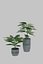 Potted Plant 3D